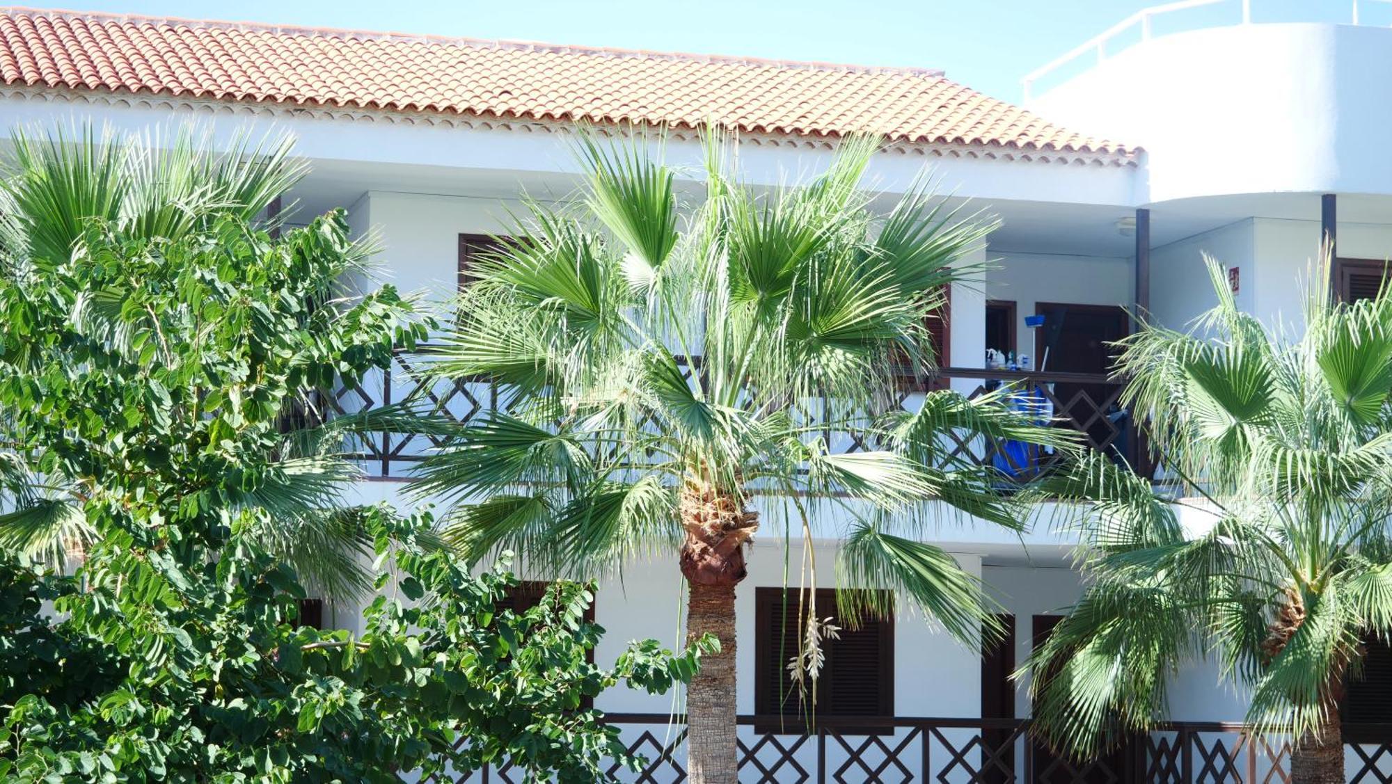 Tuerkiz Kanaan Apartman Puerto de Santiago  Bagian luar foto